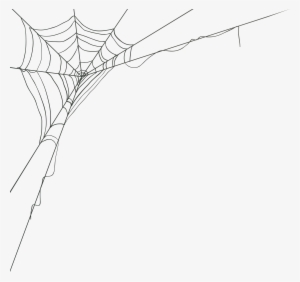 Spiderweb Png #1490810 Spiderweb Png #1490810