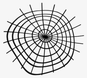 Al Halloween Spider Web 2 Simran Dhaliwal Png - The Grit Guard Insert Red #1490988