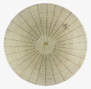 Spider Web Spider Web - Circle #1491016