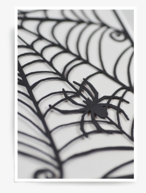 Spiderweb - Spiderweb - Spider Web #1491087