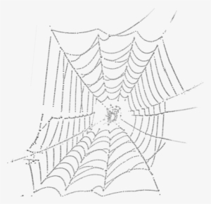 White Spider Web Png Spider Web Psd, Vector Graphic - Spider #1491104