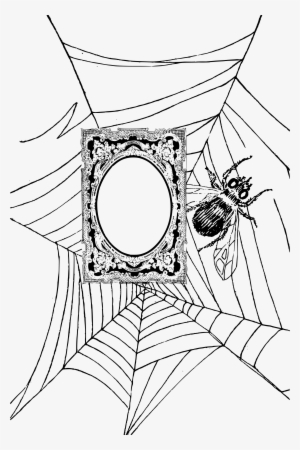 Big Image - Spider Web #1491107