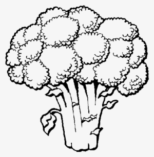 Broccoli Coloring Page - Broccoli Coloring Pages #1491108