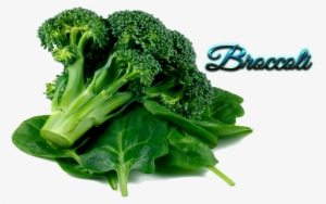 Alpha Lipoic Acid Containing Foods #1491184