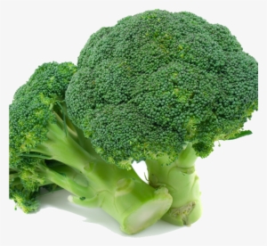 Broccoli - Naturally Treated Organic Broccoli Seeds (50 Seeds) #1491239