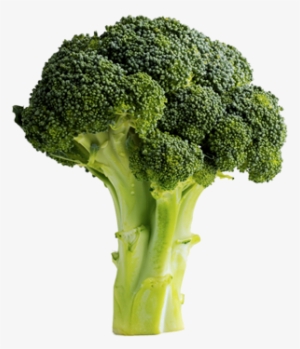 Broccoli - Carbs For Muscle #1491532