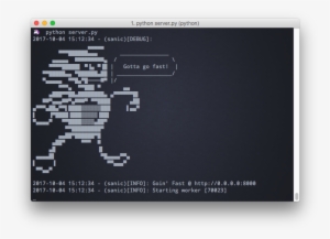 Creating An Async Python Sanic Server - Sanic Python #1491606