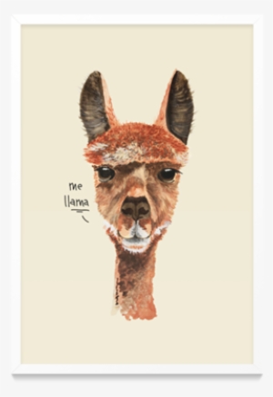 Poster Me Llama De Folk Studiona - Cushion #1491948