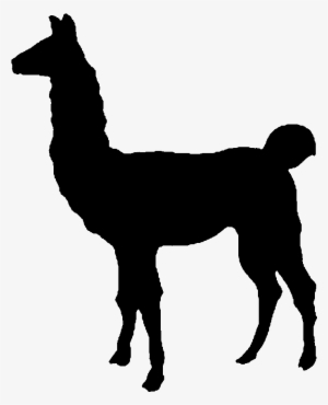 Llama Emblem Bo - Social Media Day #1492187