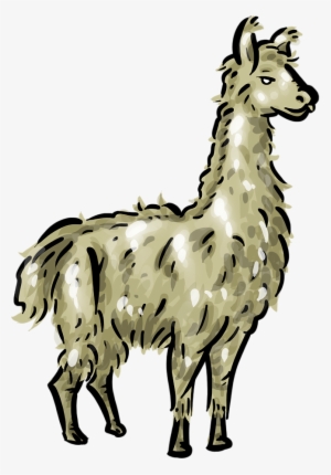 Llama Clipart Real - Llama Clipart Png #1492238