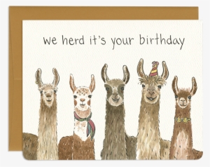 Clipart Freeuse Stock Birthday Card Greeting Cards - Llama Birthday Card #1492410