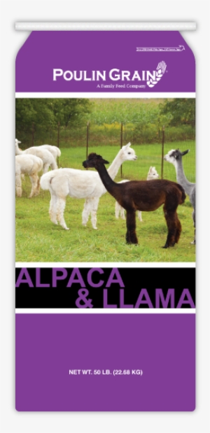Alpaca & Llama Maintenance - Cria #1492808