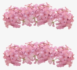 Clip Free Stock Flower Blossom Romantic Decorative - Molduras Para Convites Com Flores #1492985
