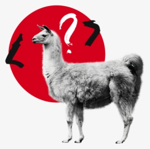 Consistently Unlocking The Potential Of Technology - Llama #1493080