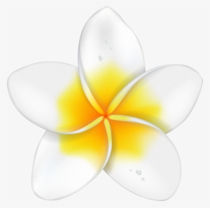 Exotic Flower Plumeria Png Clip Art Imageu200b Gallery #1494466