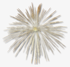 Vector Freeuse Transparent Gold Fireworks Effect Gallery - White Spider Mums #1494740