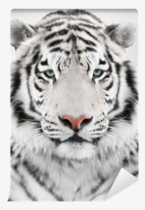 White Tiger Head Throw Blanket #1496236