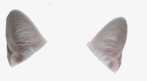 Cat Ear Png - Pillow #1496593