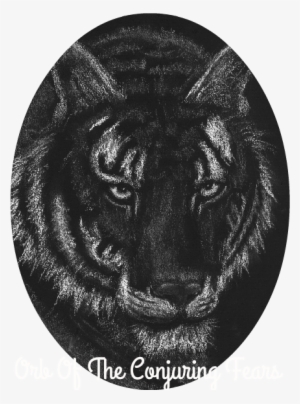 Black Tiger - Circle #1496738