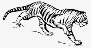 Tiger Svg Clip Arts 600 X 318 Px #1496792