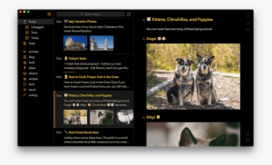 Bear 1 - 5 Hero - Bear Notes Setup #1497597