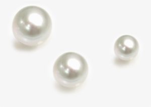 Transparent Pearl Png #1497600 Transparent Pearl Png #1497600