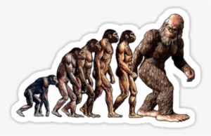 Bigfoot - Homosapien Evolution Tree Science 24x18 Print Poster #1497934