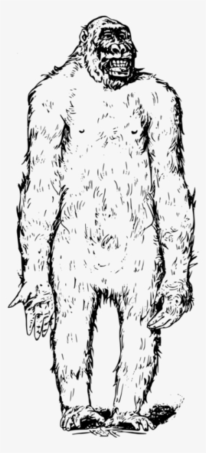 Bigfoot Ape Drawing Computer Icons Digital Image - Lustige Empathiekarte Dieses Ist Abscheulich Grußkarte #1498027