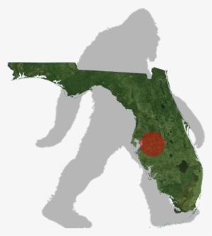 Florida Myakka Bigfoot Map - Black Florida Clip Art #1498033