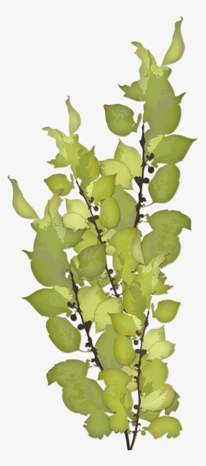 Greenery - Mother Of Sorrows Feast Day #1498140 Greenery - Mother Of Sorrows Feast Day #1498140