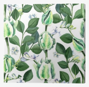 Watercolor Hand Drawn White And Green Parrot Tulips, - Tulip #1498217