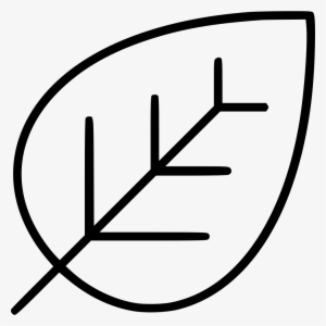 Ecology Environment Green Greenery Leaf Nature Plant - Faculdade Senai Paraíba #1498285