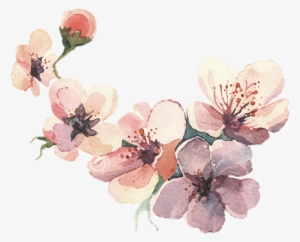 Watercolor Painting Water Color Svg Library Library - Colour Flower Drawing Png #1498516