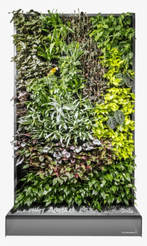 This Is The Way It Works - Transparent Green Wall Png #1498690