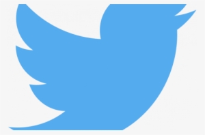 Twitter Ceo On The Right Way To Build An Edit Button - Twitter Logo Vector Grey #1498692