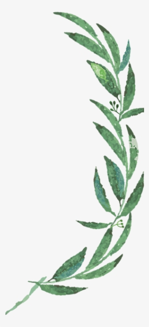 Mckenzie Botanicals - Wedding #1498792