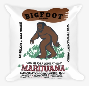 Square Pillow - Shirt #1498870