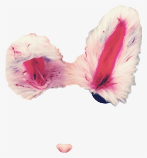 Fluffy Bunny Ears Fluffy Snapchatfilter Rabbit Ears - Rabbit #1498914