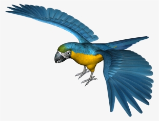 Large Blue Parrot Png Clipart - Blue Parrot Png #150012