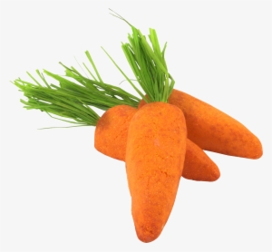 Carrot Png Image - Ibat Ibang Uri Ng Gulay #150403