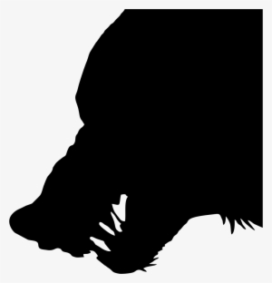 Wolf Rain Vector By Fvsj - Wolf Head Silhouette Png #150672