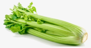 Free Png Photos Peoplepng - Celery Stock #150747