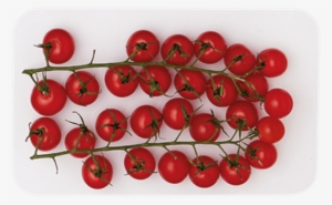 2 Punnet - Bush Tomato #150950