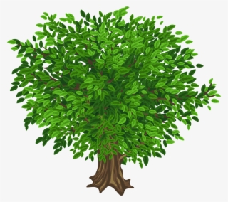 Tree Png - Clip Art #151051