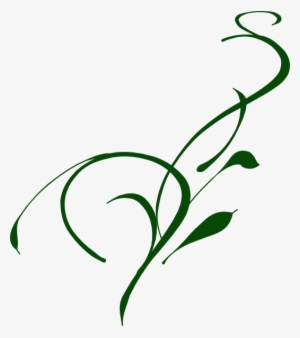 Vines Png #151097
