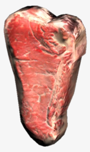 Raw Human Steak - Human #151102