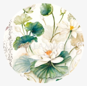 20 Gr - - Porcelain #151402