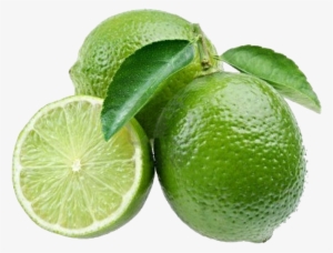Lime Png #151403