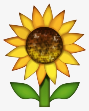 Download Sunflower Emoji Image In Png - Sunflower Emoji Png #151476