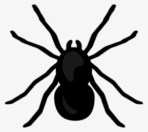 Ant Spider - Spider Clipart No Background #151653